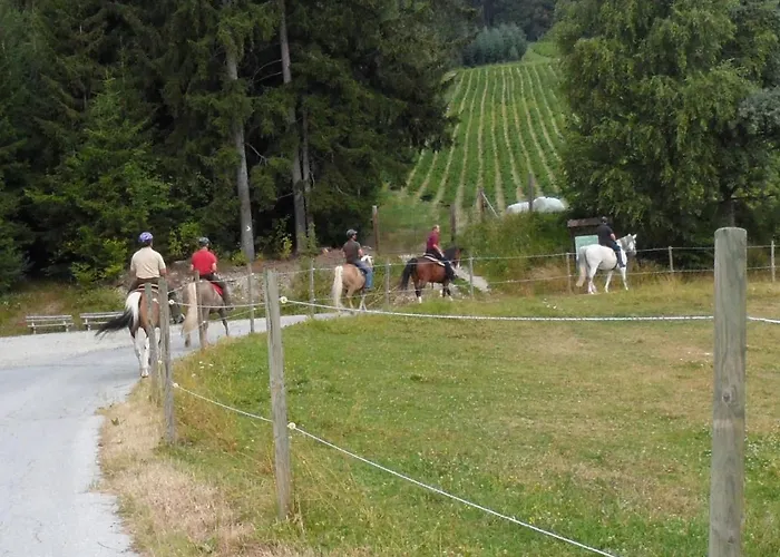 Urlaub Am Bauernhof Familie Kitting * Vorau